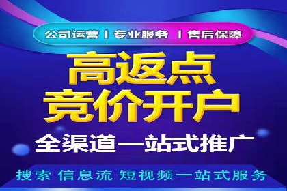 某电商平台充值返点活动用户行为分析